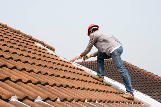 Best Wood Shake Roofing  in Continental, OH